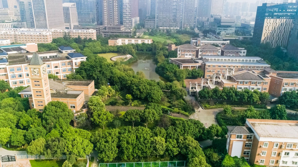 成都美视国际学校新校名—成都美视师一学校